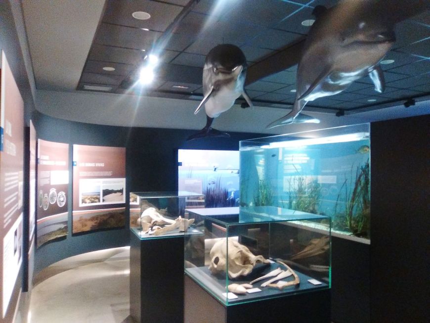 Aquarium de Roquetas de Mar · Qué visitar en Roquetas de Mar