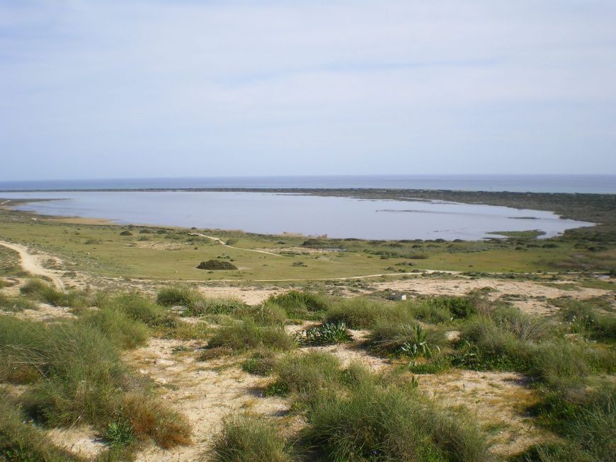 Parque Natural Punta Entinas-Sabinar · Qué visitar en Roquetas de Mar